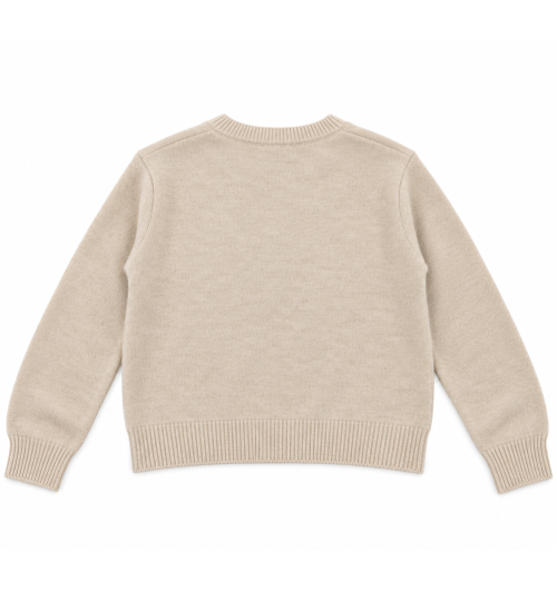 JERSEY LENTEJUELAS LADO WOOL ARENA