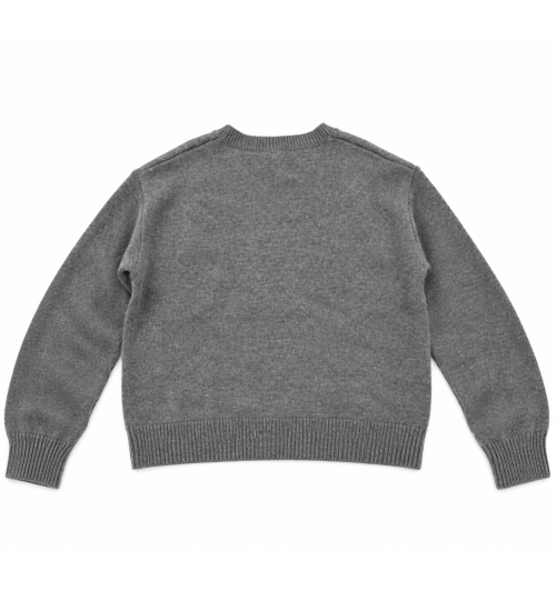 JERSEY LENTEJUELAS LADO... 2